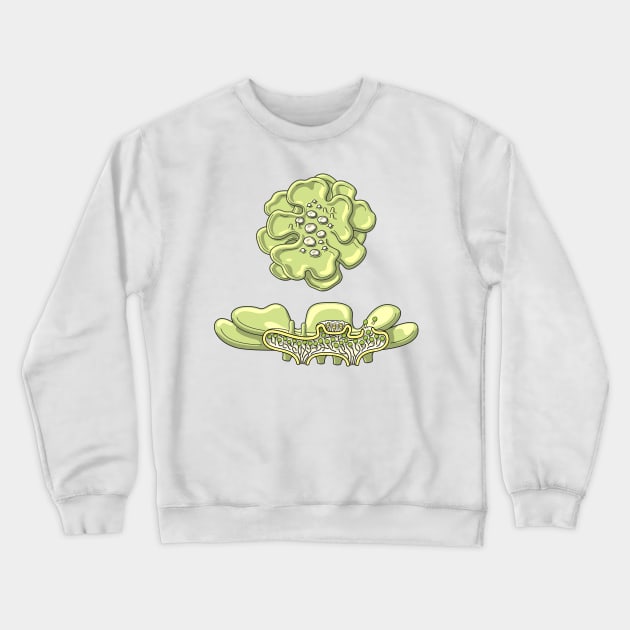 Lichen Structure Illustration Crewneck Sweatshirt by taylorcustom